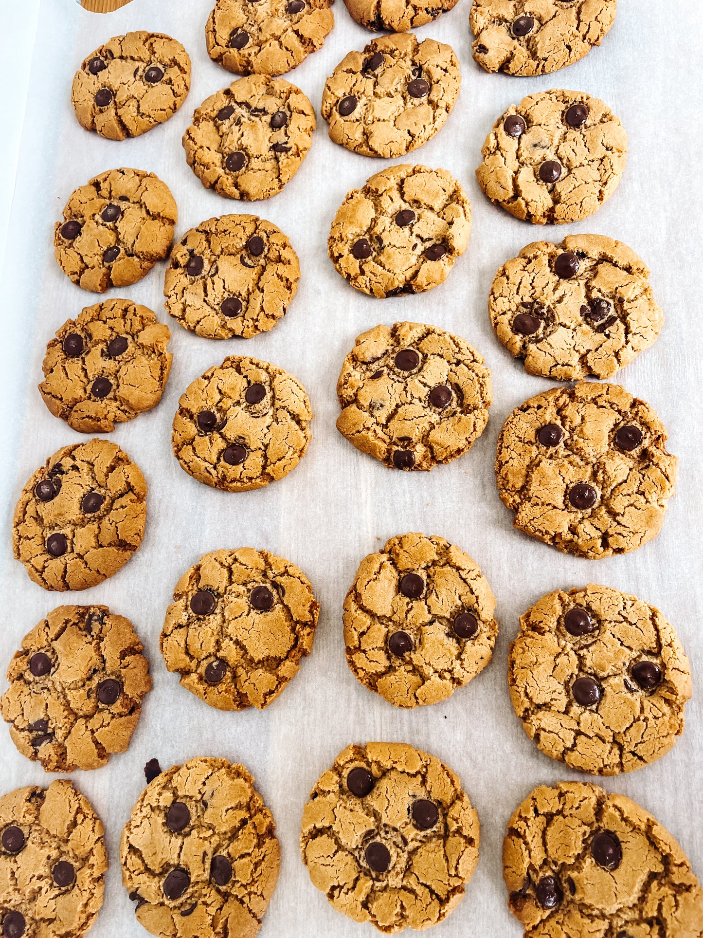(Flat) Crunchy Chocolate Chip Cookie (10)